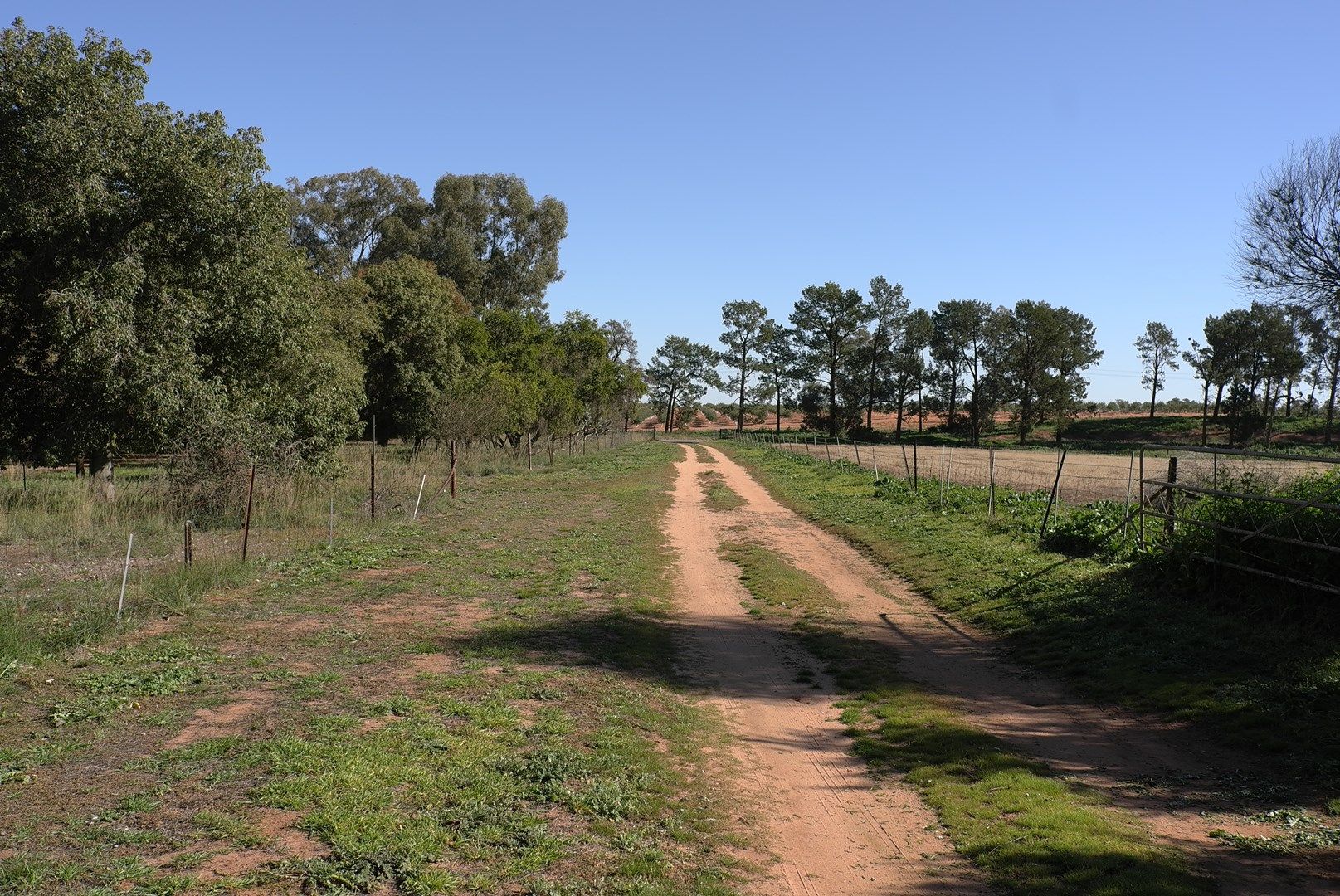 199 Innisvale Road, Euroley NSW 2700, Image 0