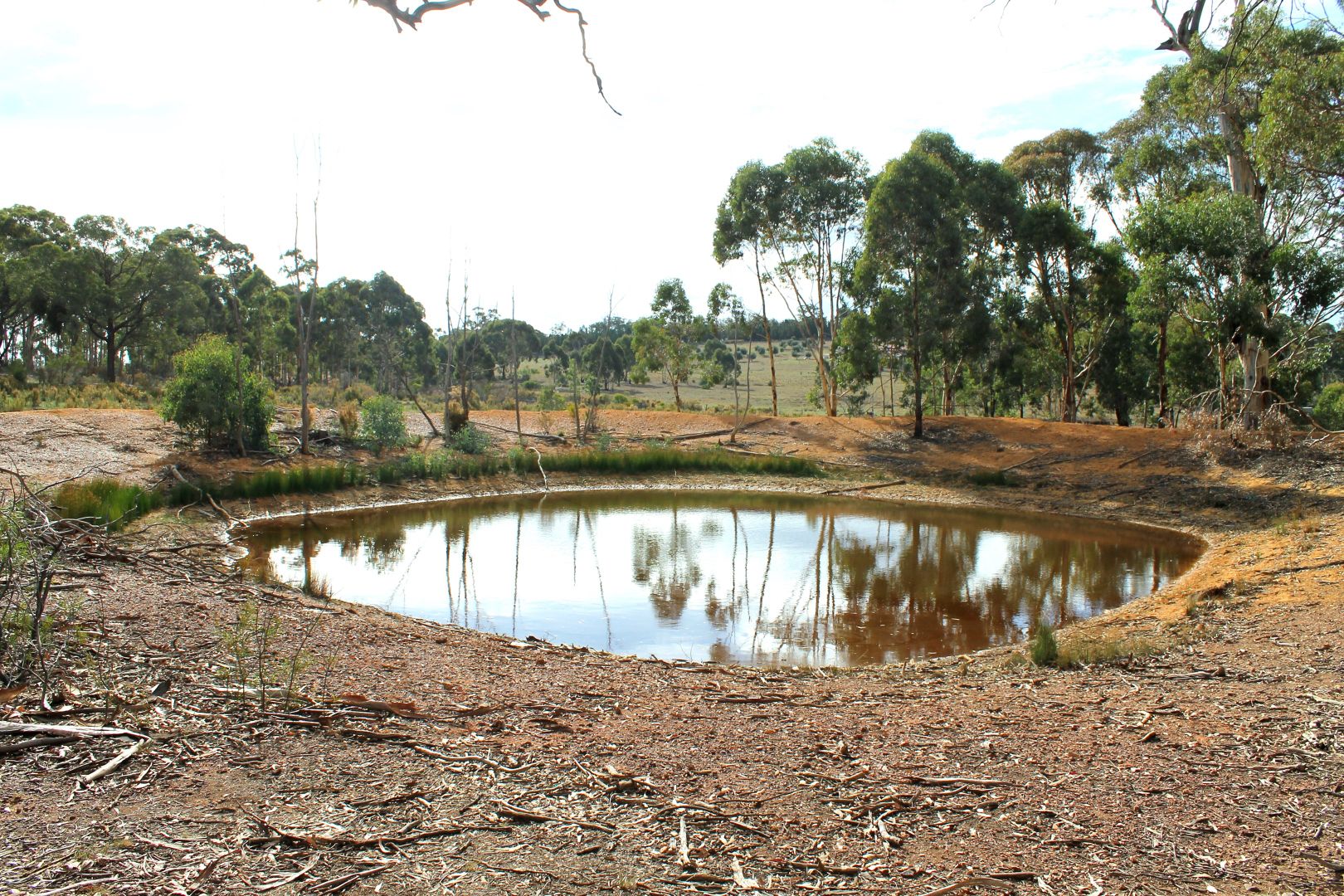 Gulgong NSW 2852, Image 1