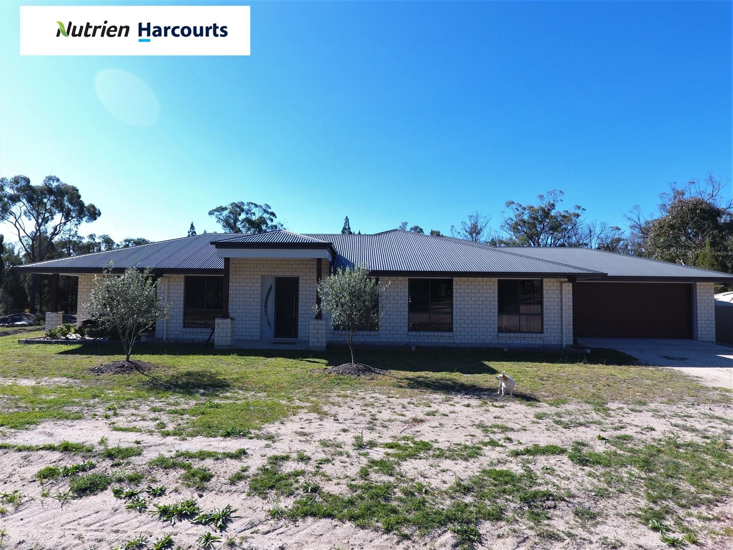 81 Back Creek Road, Severnlea QLD 4380, Image 0