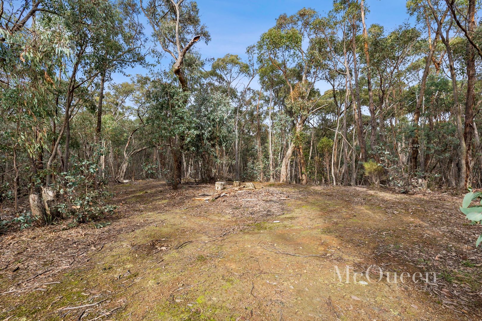 48 Fords Road, Porcupine Ridge VIC 3461, Image 2