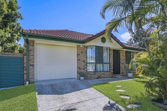 Picture of 3 Red Deer Court, CHERMSIDE WEST QLD 4032