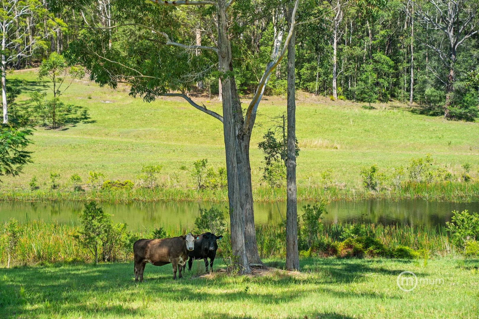 Additional image 23 of Milton NSW 2538