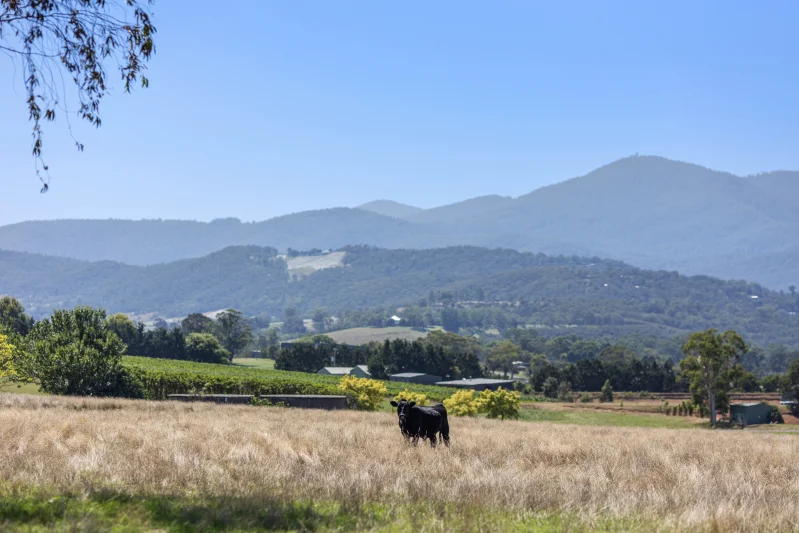 12 Maddens Lane, Coldstream VIC 3770