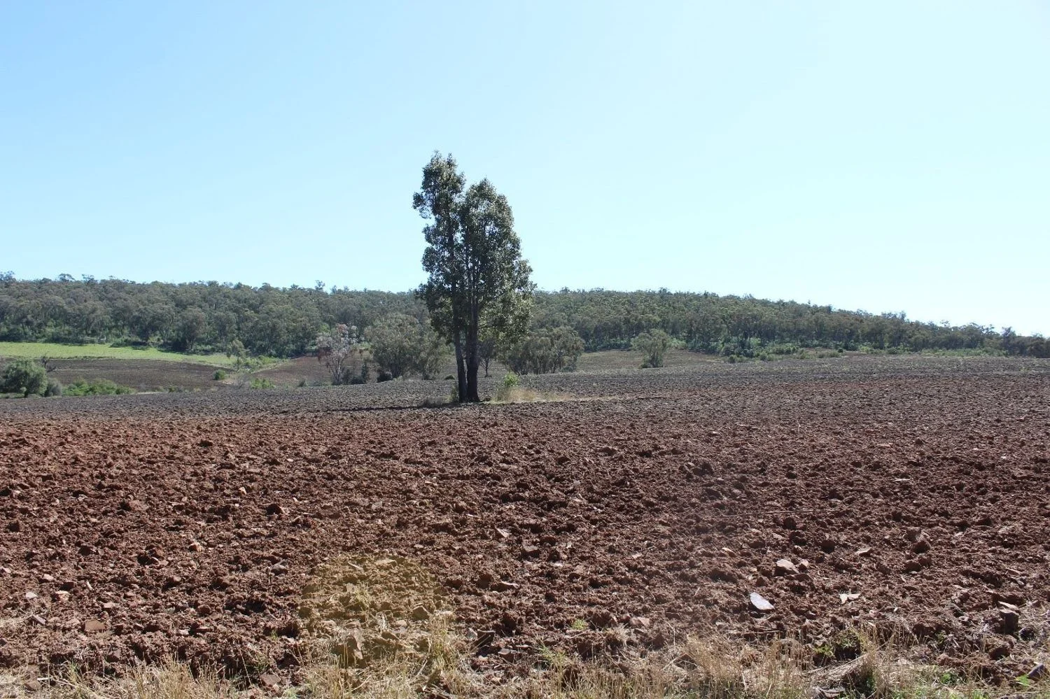 Image 18
