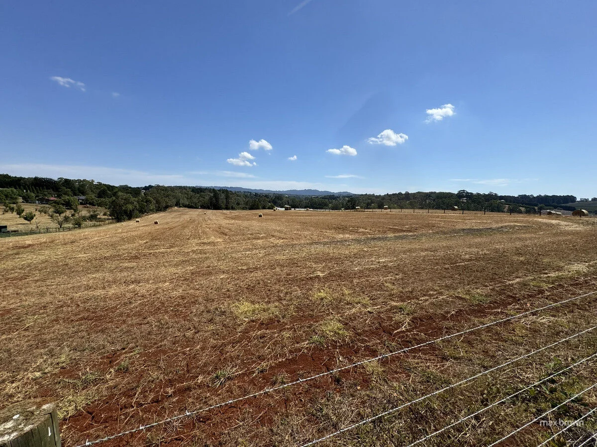 Image 20