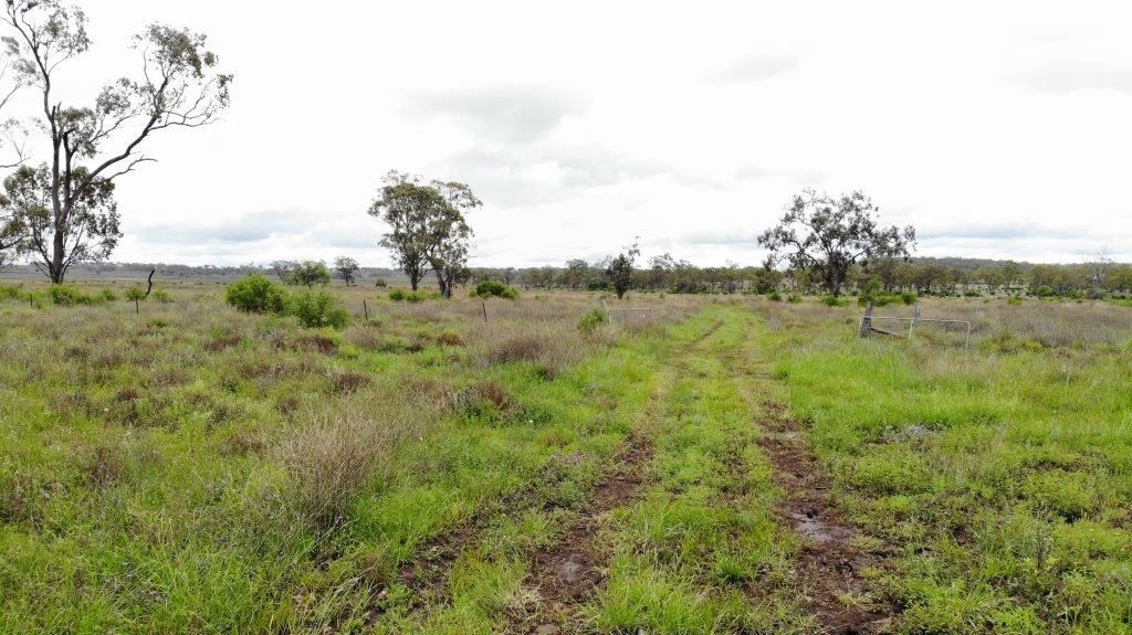 AUCTION - 275 ACRES GRAZING COUNTRY, Kaimkillenbun QLD 4406, Image 1