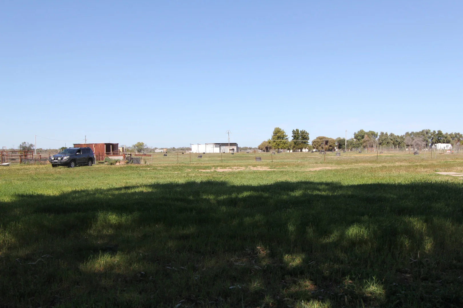 Image 12