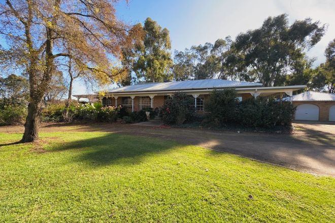 Picture of 205 River Road, FORBES NSW 2871