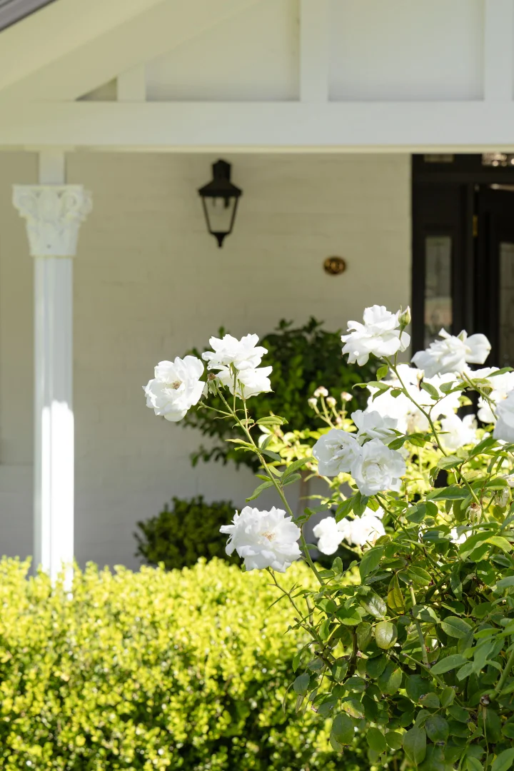 Additional image 28 of 99 Carthage Street, Tamworth NSW 2340