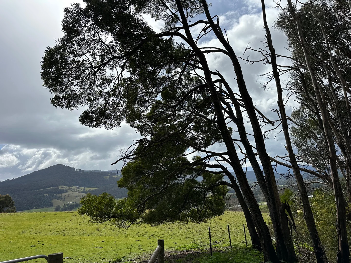 Image 10