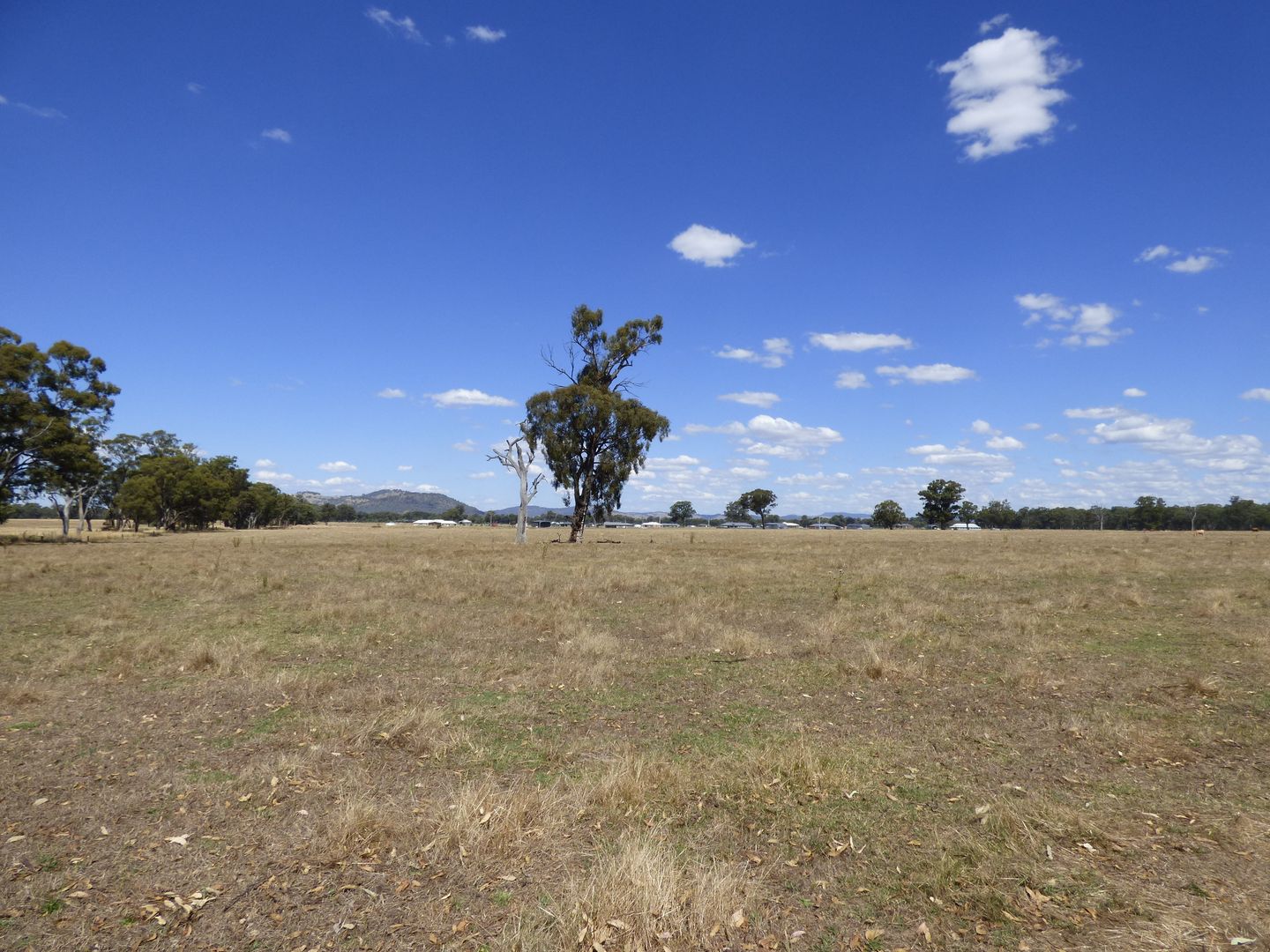 191 Fishers Road, Barnawartha VIC 3688 House for Sale Domain