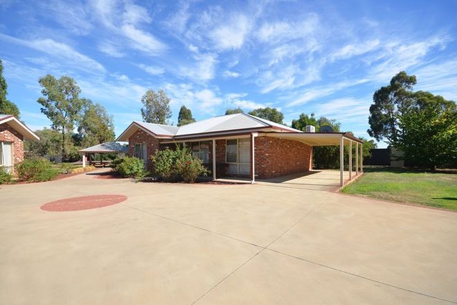 Picture of 20/55 Perricoota Street, MOAMA NSW 2731