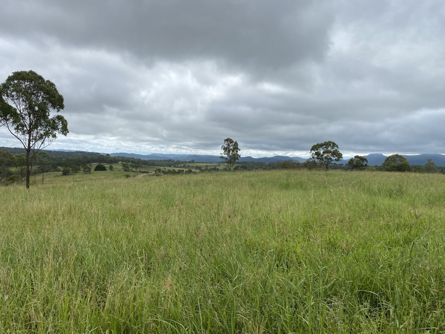 Mount Perry QLD 4671, Image 2