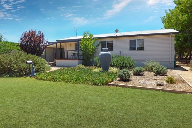 Picture of 61 Oberon Street, EUGOWRA NSW 2806