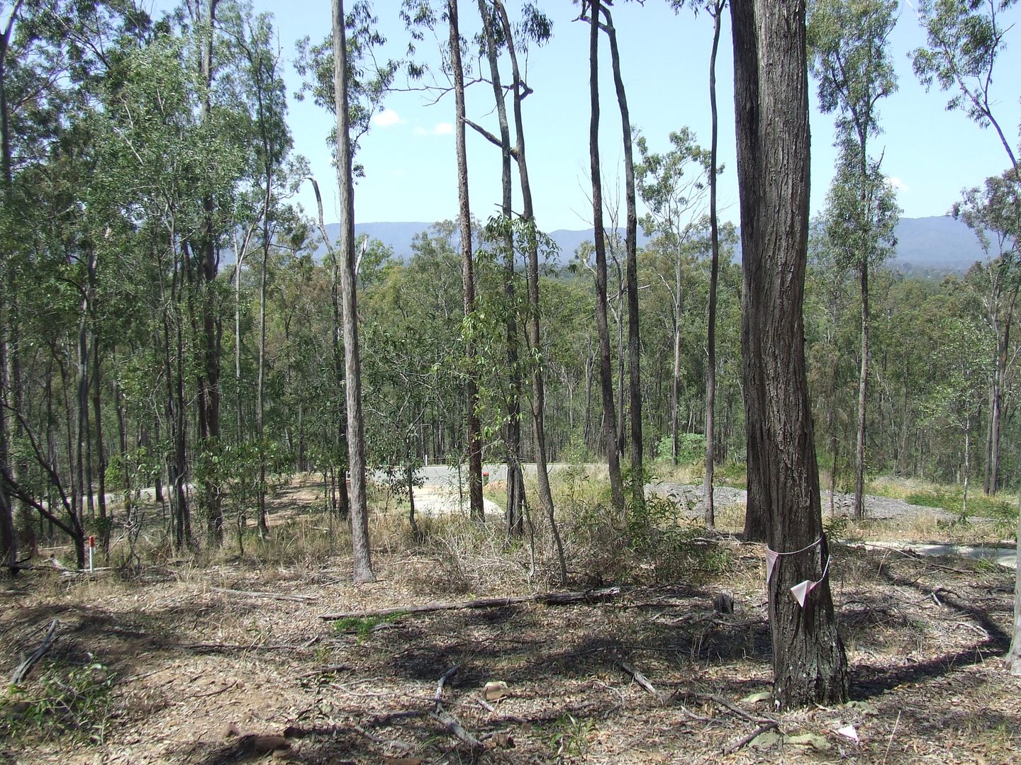 Tamborine QLD 4270 Vacant Land for Sale 285,000 Domain