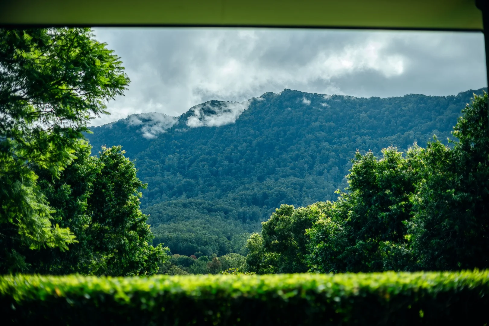 Additional image 7 of 2165 Waterfall Way, Thora NSW 2454