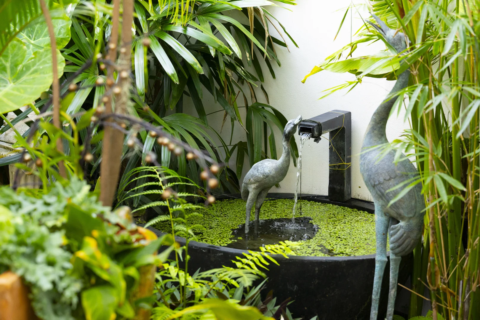 Additional image 11 of 10 Aegean/100 Cotlew Street East, Southport QLD 4215