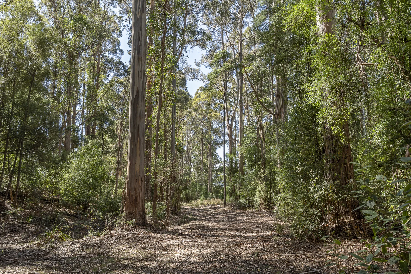 Additional image 15 of 1 & 2 Millers Road, Middleton TAS 7163