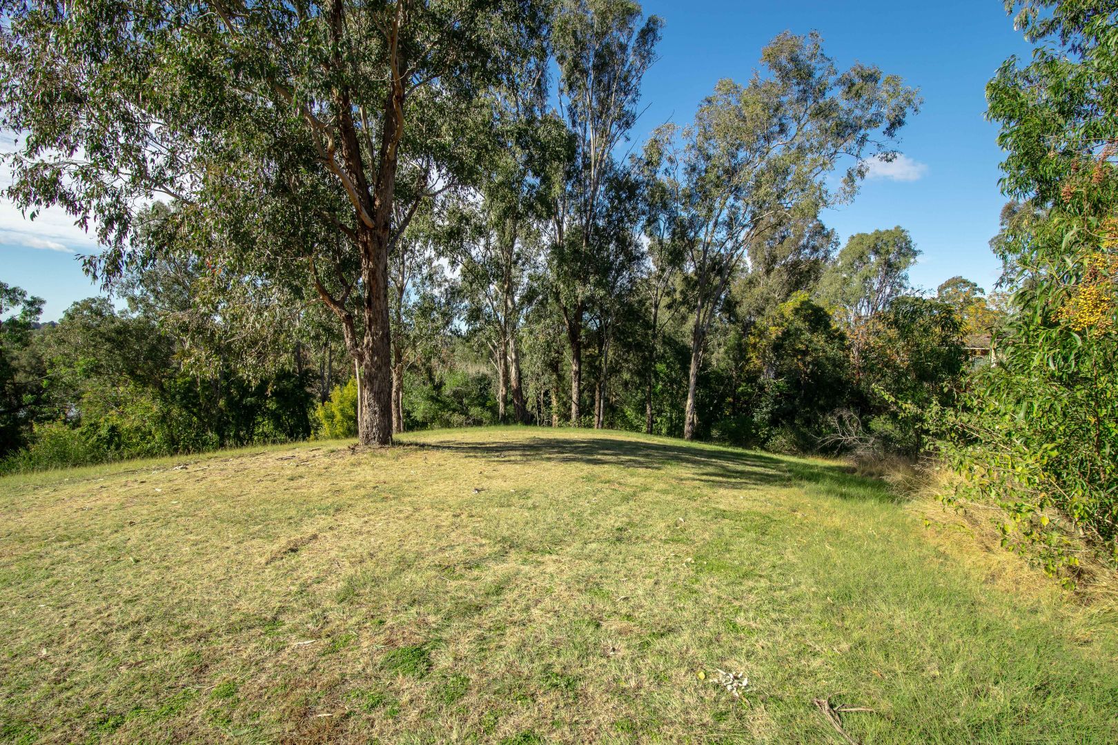 1 Riverbank Drive, Emu Heights NSW 2750, Image 2