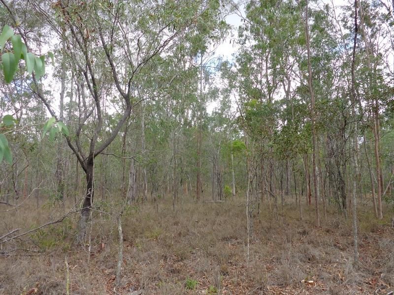 Lot 10 Cauleys Road, Paterson QLD 4570, Image 2