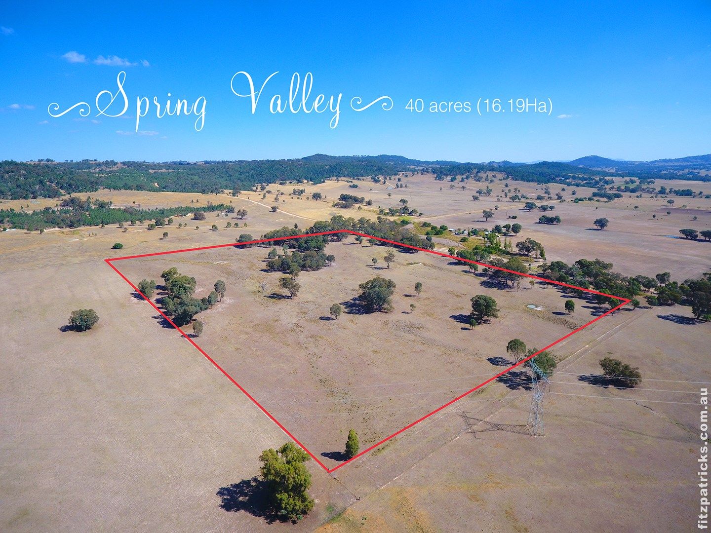 Lot 113/"Spring Valley" Ivydale Road, Gregadoo NSW 2650, Image 0