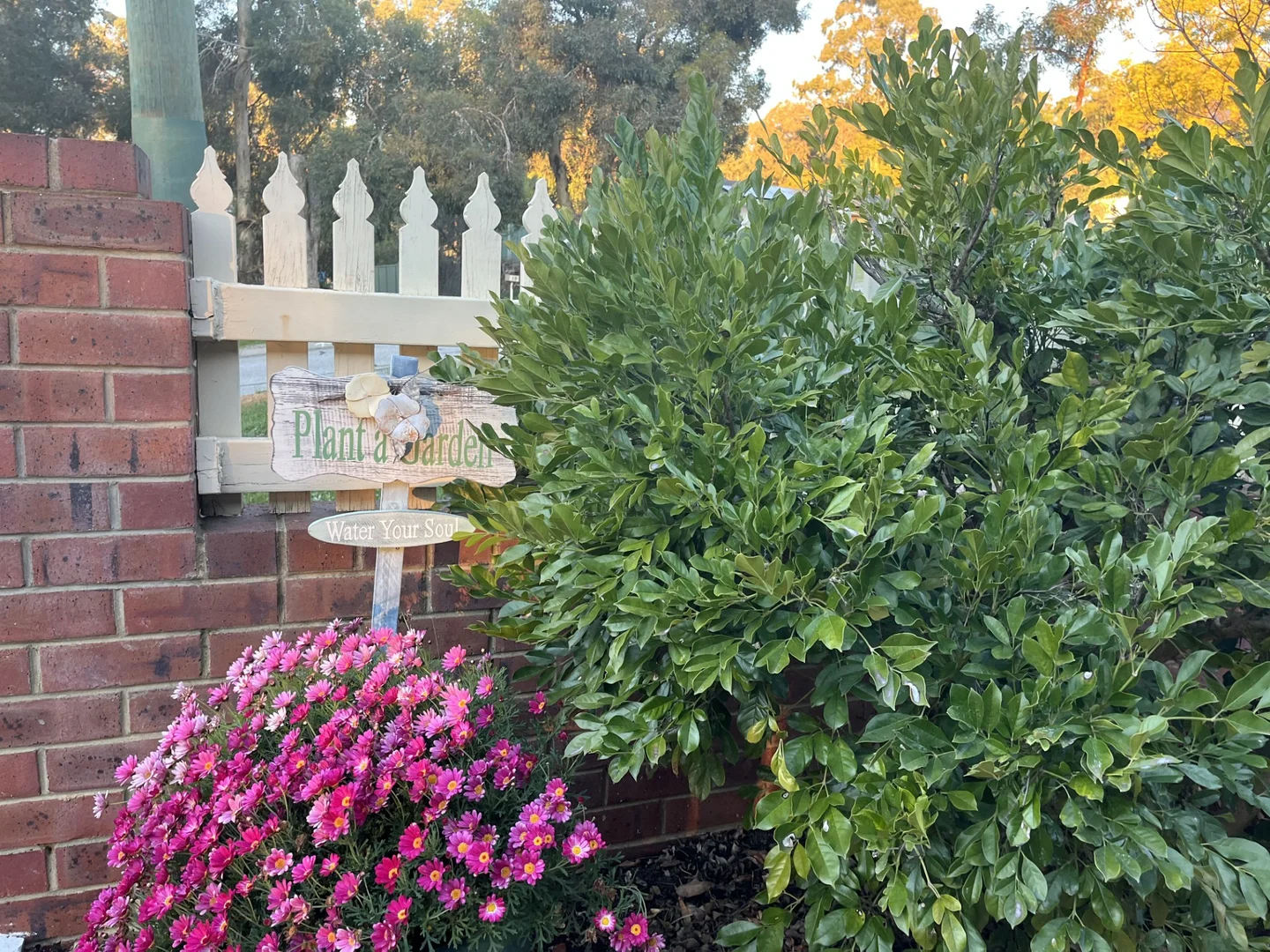 Image 13
