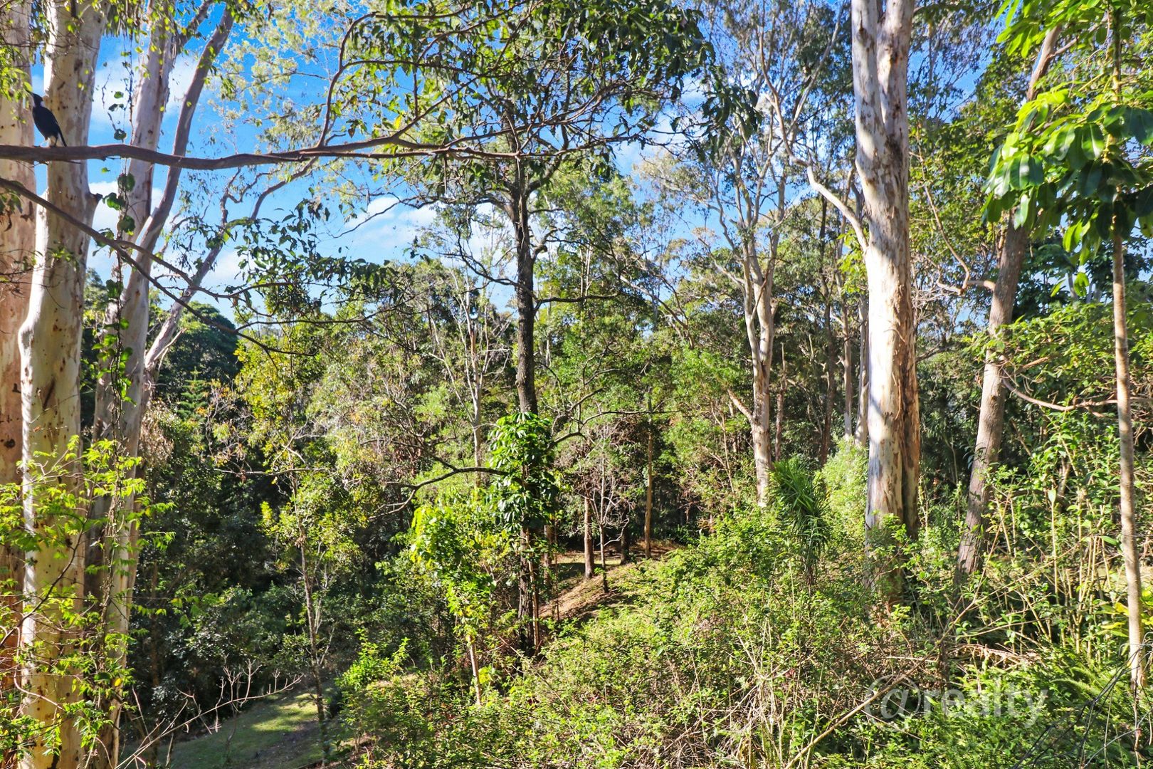 lot 1/373 Obi Obi Road, Mapleton QLD 4560, Image 1