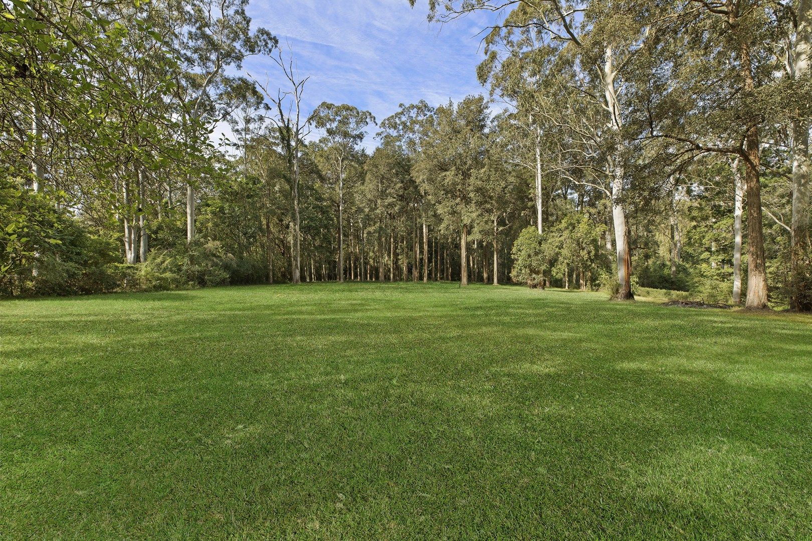 70 Wattle Tree Road, Holgate NSW 2250, Image 0