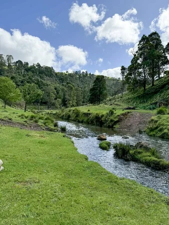 Image 20