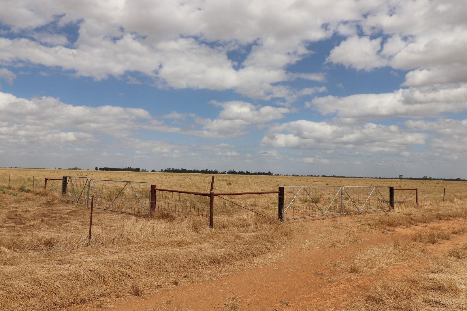 Deniliquin NSW 2710 Specialist Farm for Sale Domain