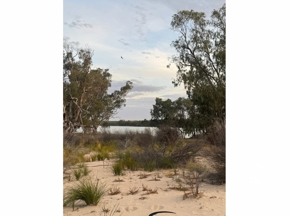 Image 11
