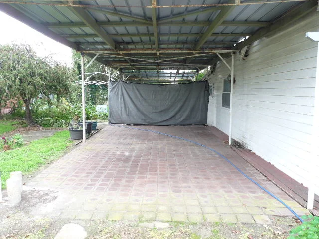 Image 15