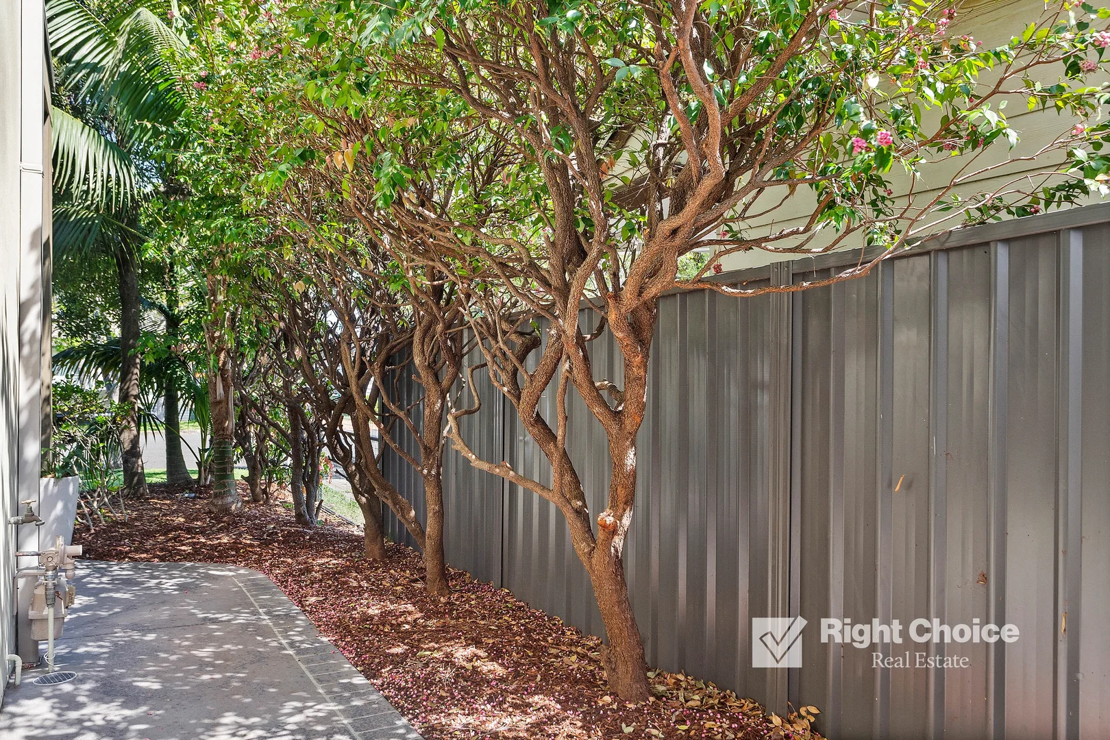 Additional image 12 of 74A Darley Street, Shellharbour NSW 2529