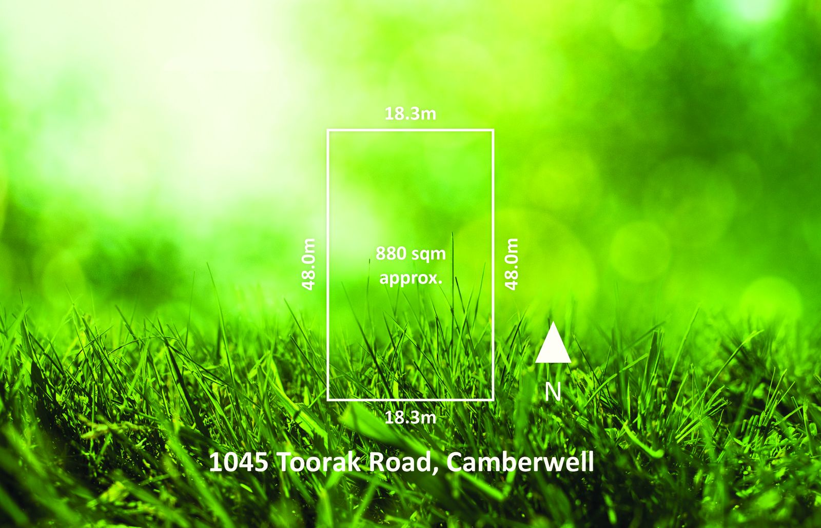 1045 Toorak Road, Camberwell VIC 3124, Image 0