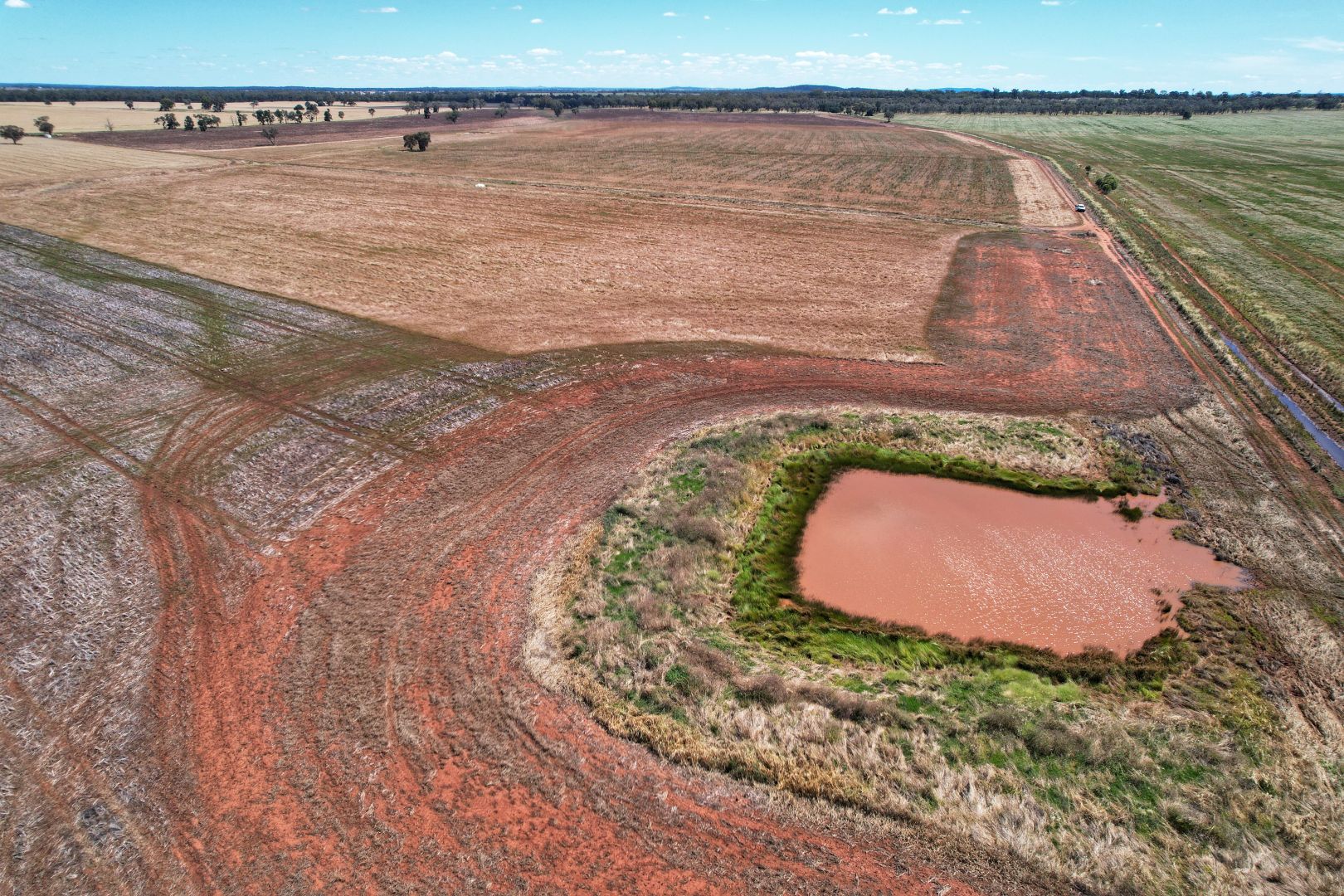 'Pine Grove' 2892 Springvale Road, Condobolin NSW 2877 Farm for Sale