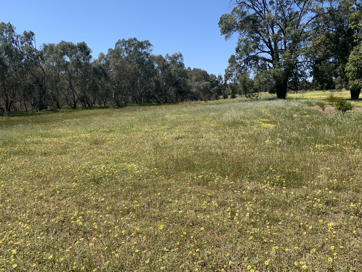 Lot 365 Glenmore Drive, Bakers Hill WA 6562, Image 1