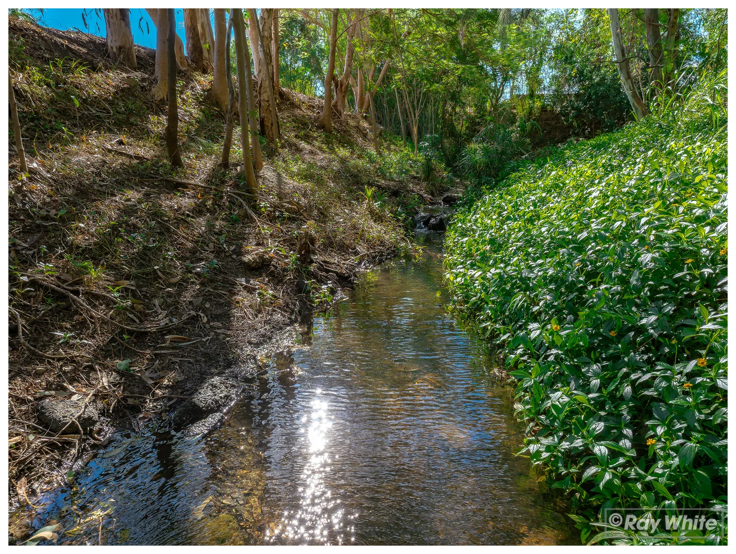 Image 11