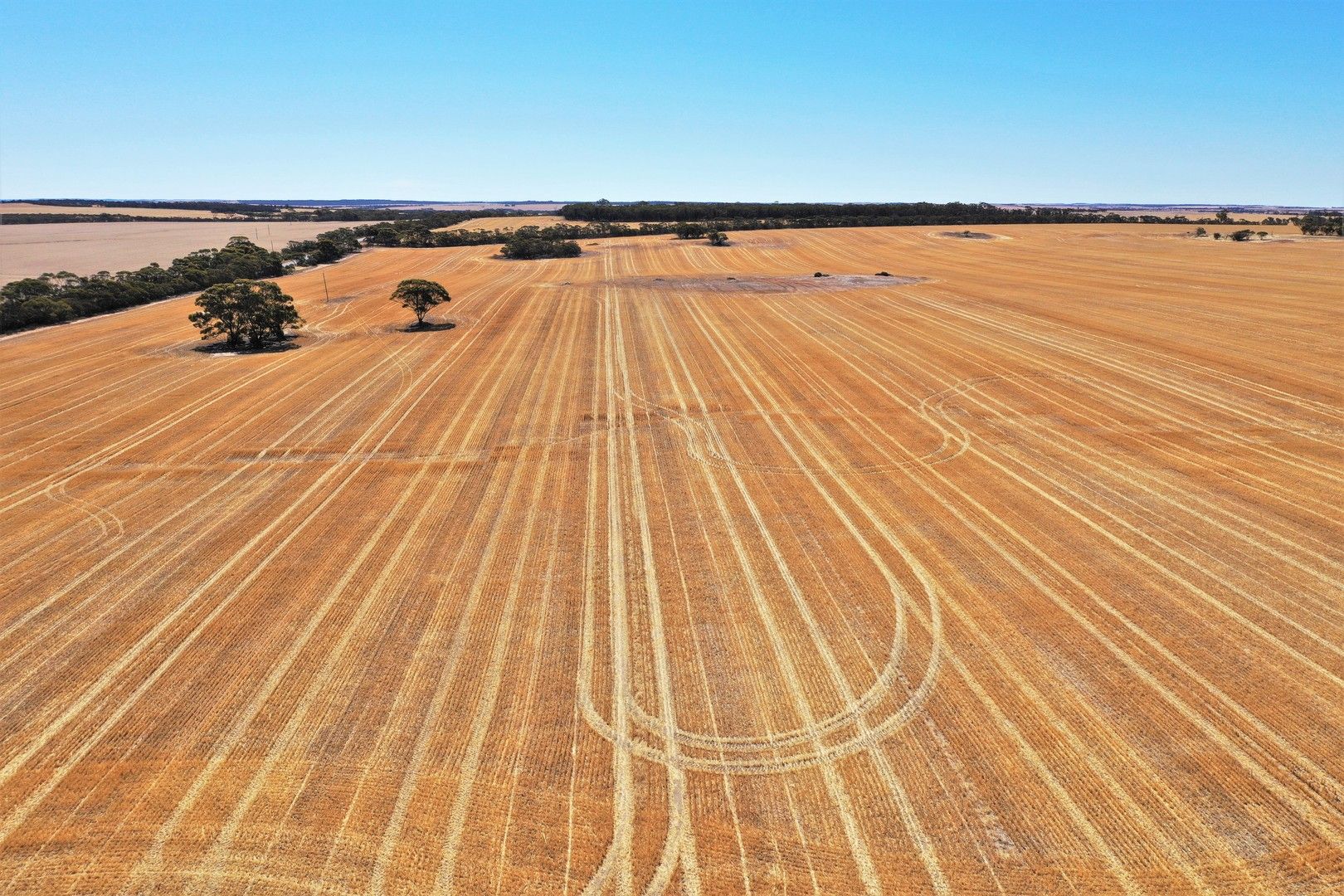 Rural in 833 Tarin Rock Road, TARIN ROCK WA, 6353