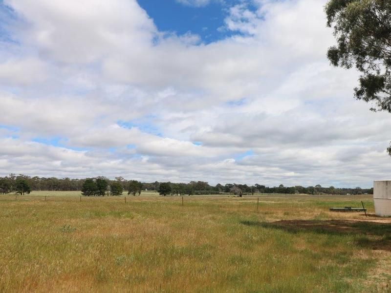 Lot 50 Harpers Lane, Wedderburn VIC 3518, Image 2