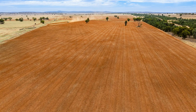 Picture of Barellan Road, NARRANDERA NSW 2700