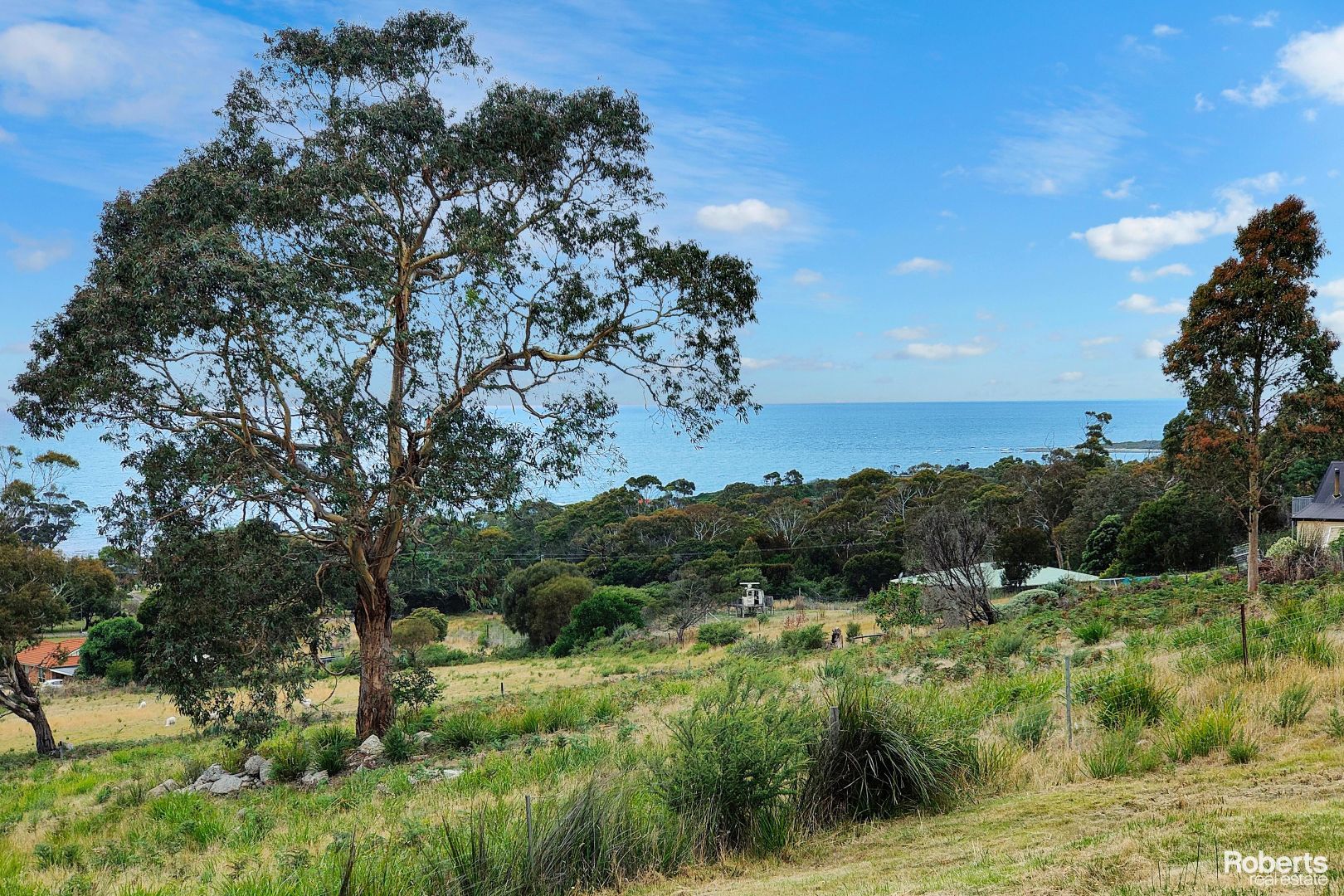 5 Lehner Crescent, Bicheno TAS 7215, Image 2