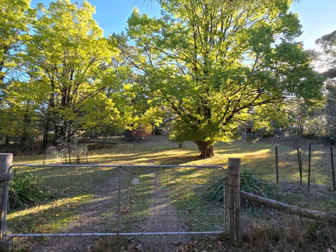 3705 Hill End Road, Hill End NSW 2850 Domain