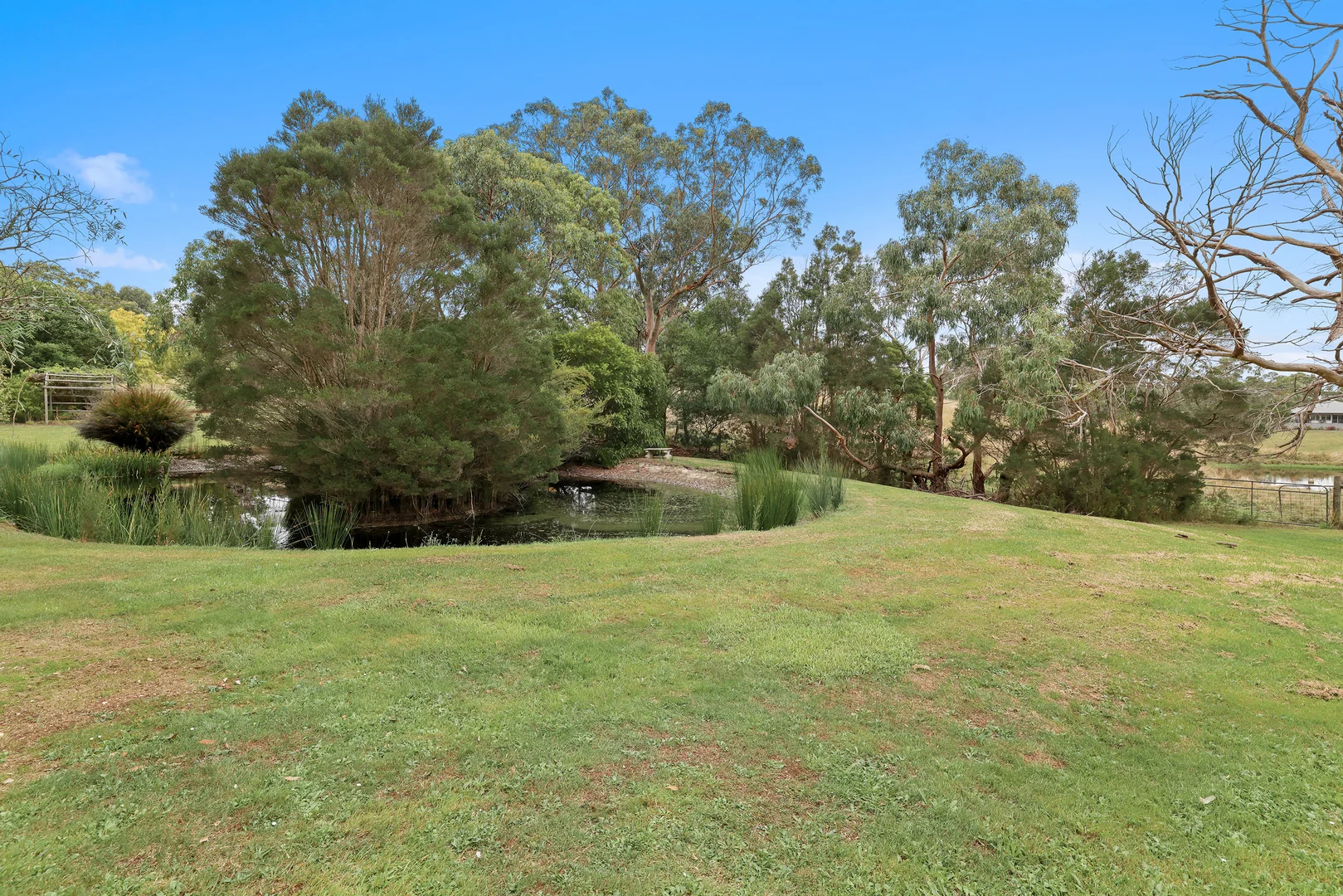 Image 15