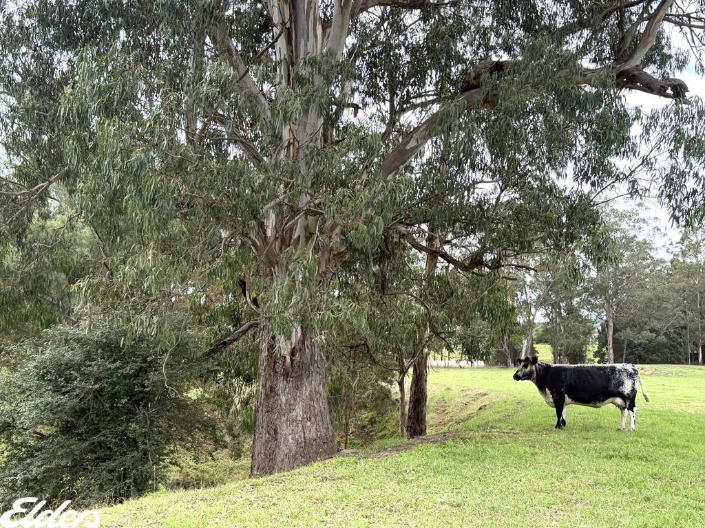 Additional image 37 of 235 Lays Road, Willung South VIC 3847