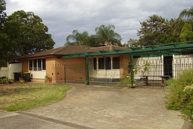 Picture of 8 Inderi Street, GEPPS CROSS SA 5094