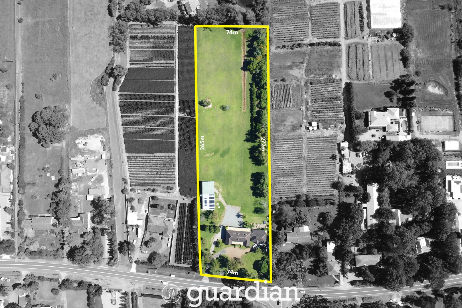 Image 3