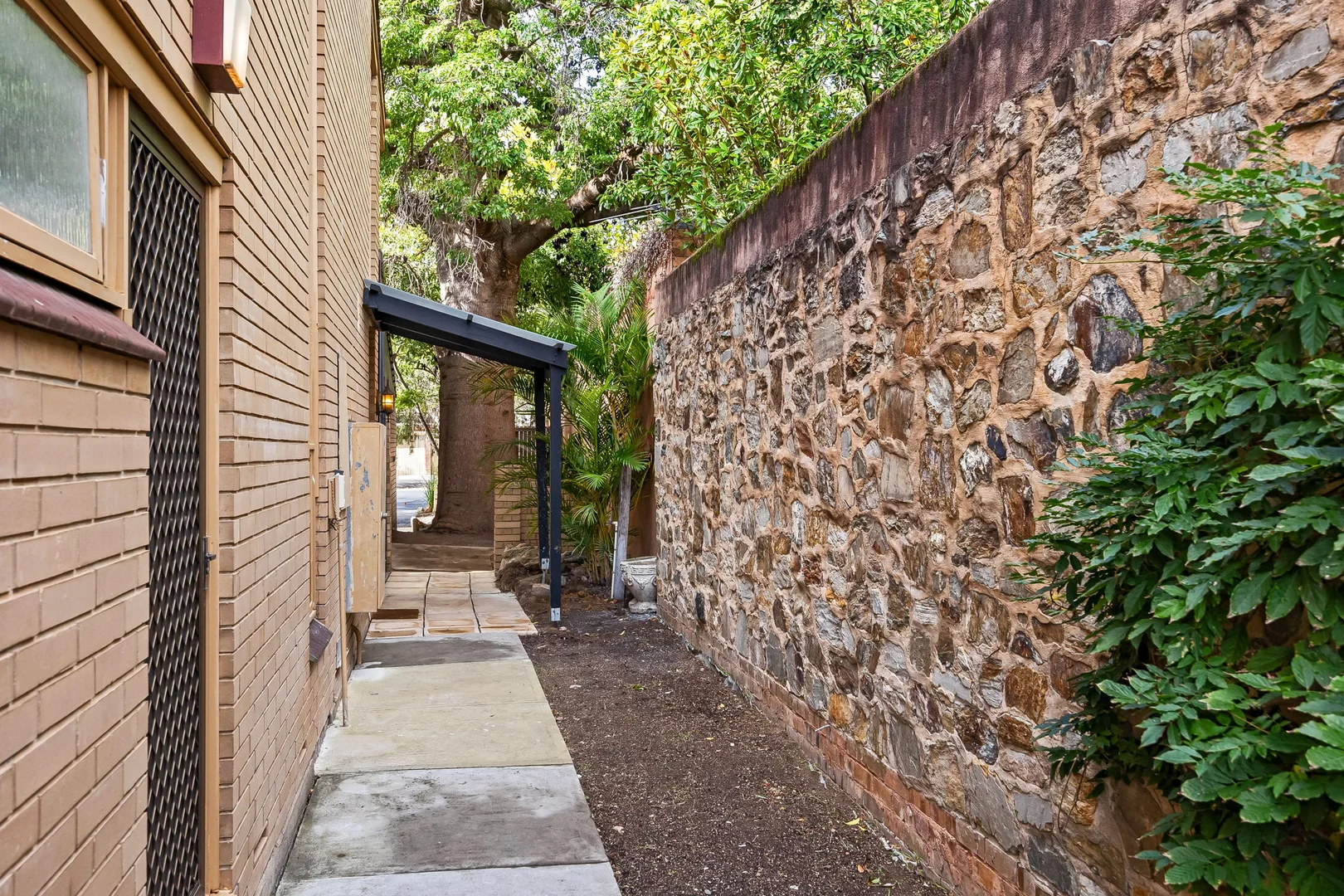 Image 21