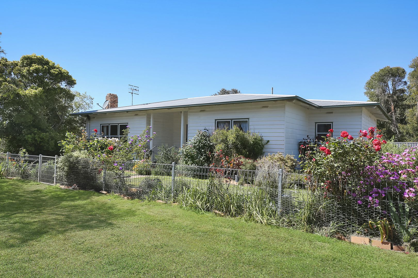 250 Ramsay Road, Irrewarra VIC 3249, Image 1