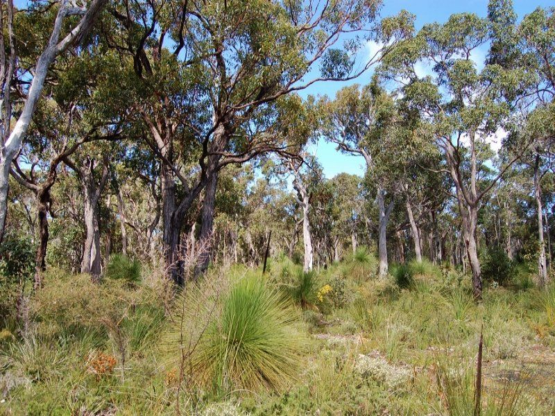 Lot 7 Yungarra Drive, Quedjinup WA 6281, Image 0