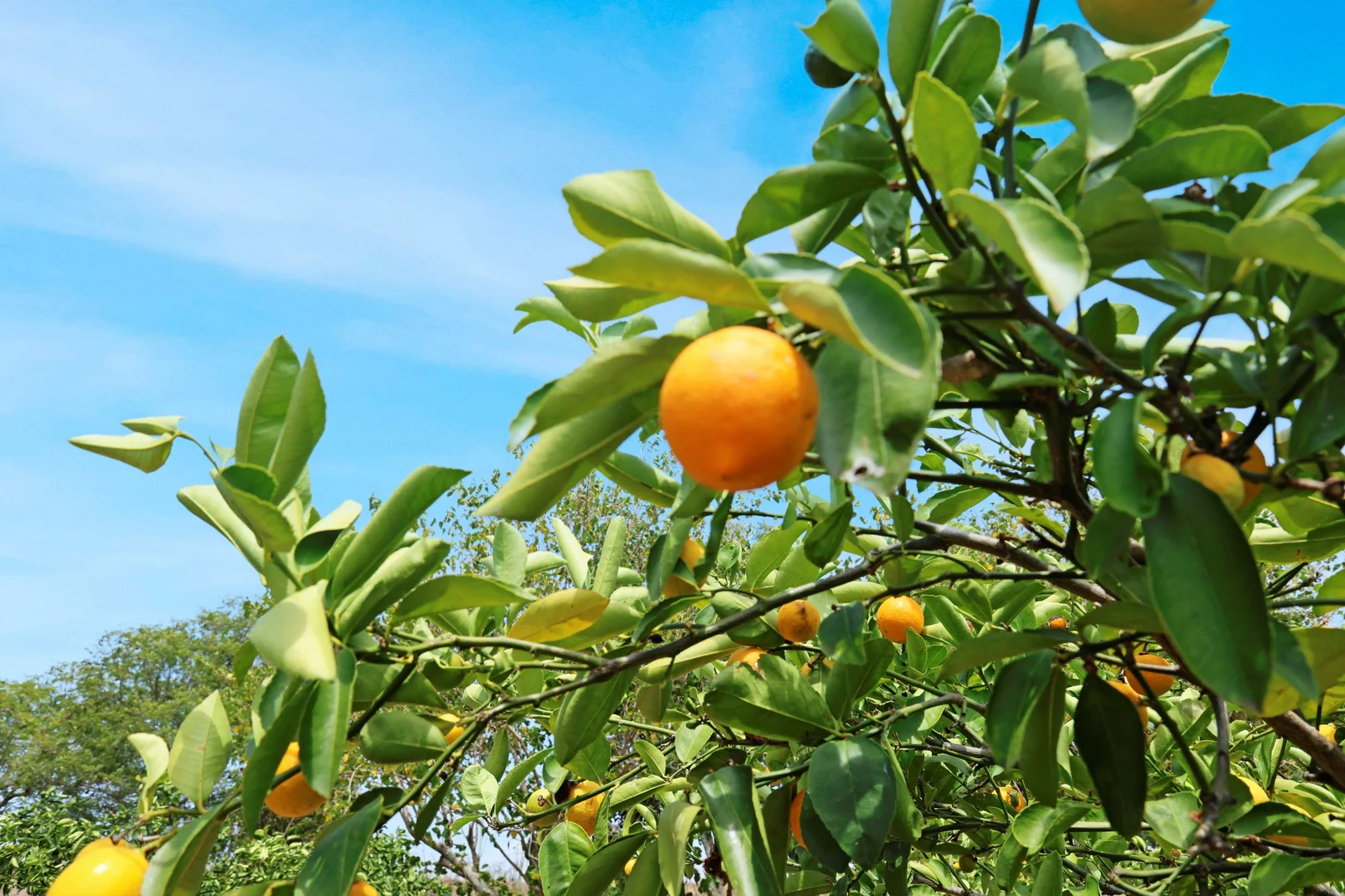 Additional image 2 of 13 Morris Court, Cotswold Hills QLD 4350